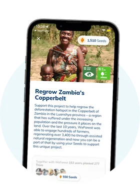 The bgood: goodbag app with details of a custom NGO project
