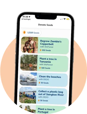 The bgood: goodbag app with a list of NGOs to donate to