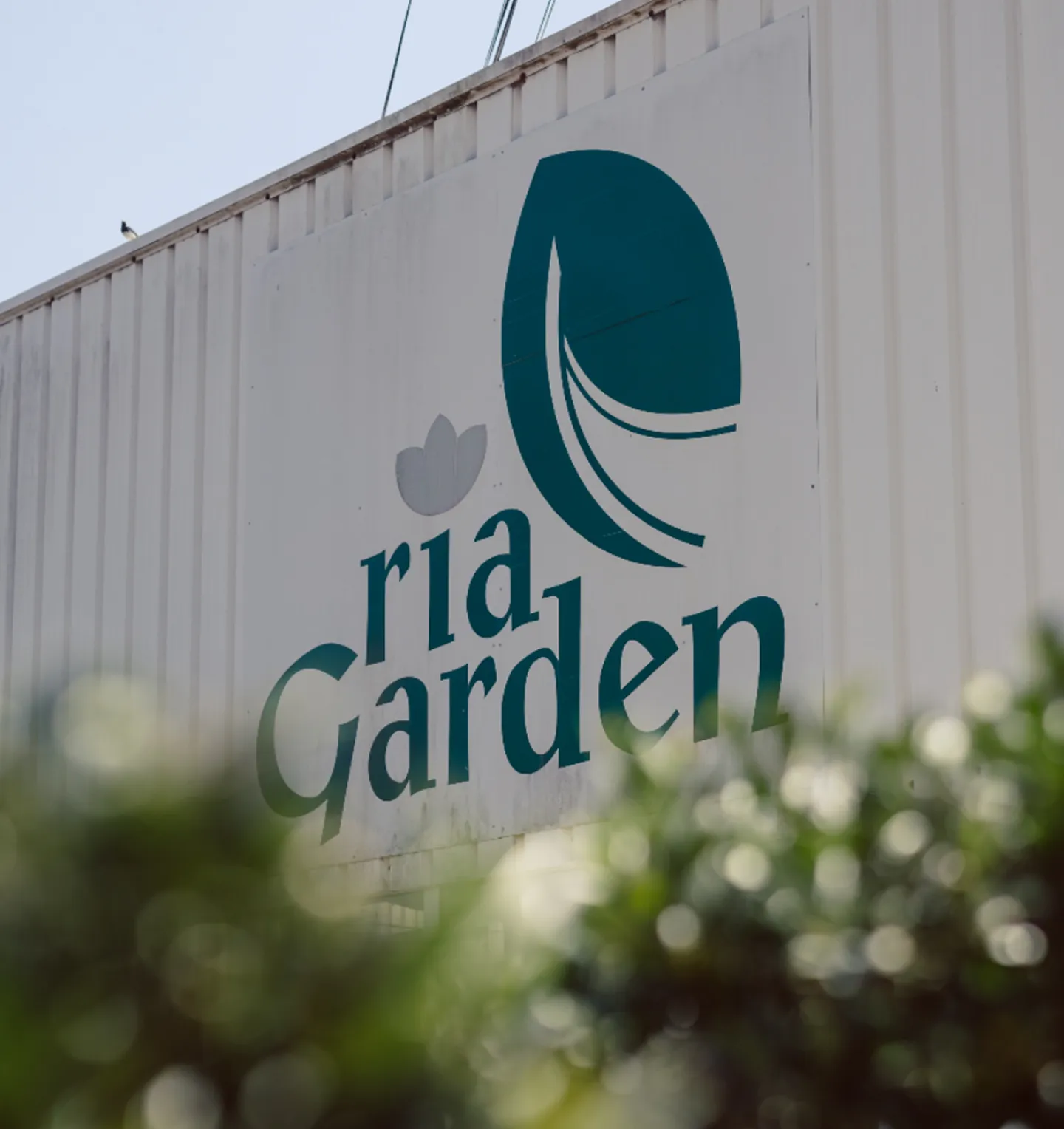 Riagarden x goodbag