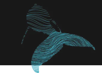 A illustration of a whale